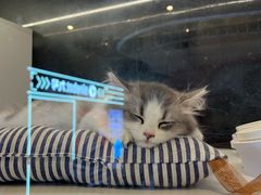 -万达影城(浦西万达广场激光IMAX店)