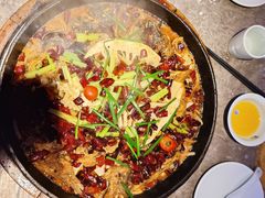 -老板恋上鱼(恒隆广场店)