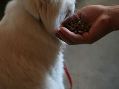 -Babycat私家御饼屋(龙头路一店)