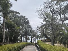-东澳岛