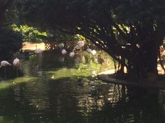 -九龙公园