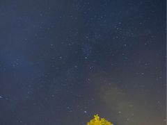 -华山御温泉度假村