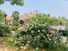 -浦鸿会游泳健身中心·Ambassy Club PD(金桥碧云国际社区店)