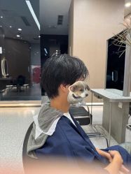 -MMbyHairCode芭曲发型
