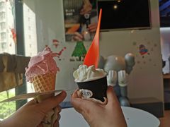 牧场牛乳冰激凌-野人牧坊Gelato(天津南开大悦城店)