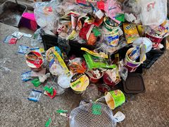 -武陵山森林公园