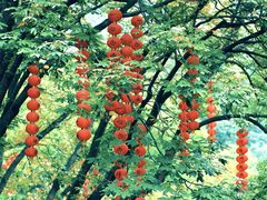 -杭州上天竺法喜讲寺