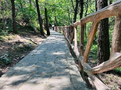 -金龙寺国家森林公园