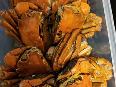 红酒醉熟蟹-马头巷·食景园(苏州总店)