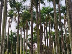 -南宁南湖公园