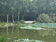 -河南省黄河迎宾馆