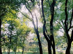 -国家植物园南园