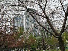 -西北湖绿化广场