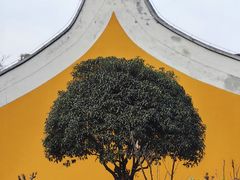 -杭州西湖风景名胜区-三生石