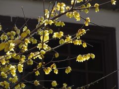 -万寿八仙宫