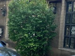 -可可露咖啡店(大东店)