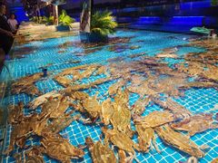 -驻海渔市(置信店)