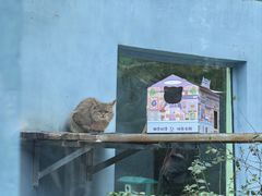 -青藏高原野生动物园
