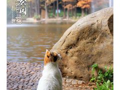 -广州珠江公园