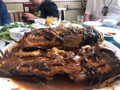 -金台阶鱼馆(于桥水库店)