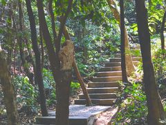 -梧桐山风景名胜区