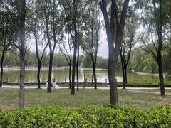 -森林公园(尖草坪区)