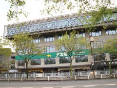 -嘉定紫藤园
