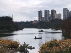 -重庆彩云湖湿地公园
