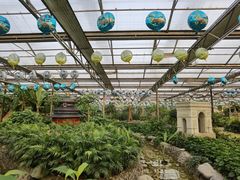 -南宫五洲植物乐园