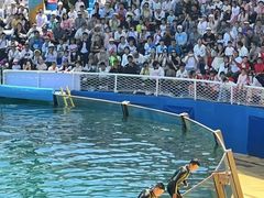 -秦皇岛乐岛海洋王国