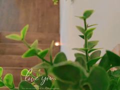 -宫七SPA·高端Massage(浦东大道店)