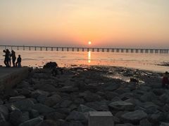 -宝安西湾红树林湿地公园