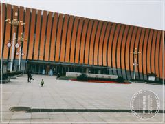 -平顶山博物馆