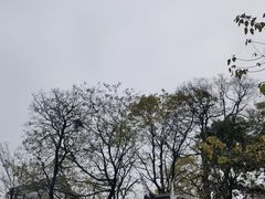 -阳明祠