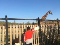 -鄂尔多斯野生动物园