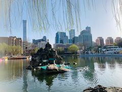 -团结湖公园