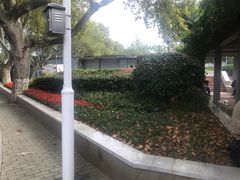-太子山公园(园东路)
