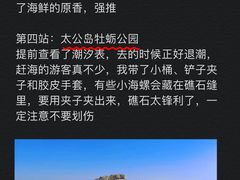 -巧克力渔家.小船海鲜胶东菜(万平口店)