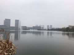 -尚贤河湿地