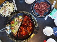 -小志家.鲜牦牛肉牛杂火锅野生菌汤锅