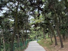 -刘公岛景区