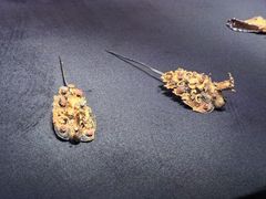 -长沙简牍博物馆