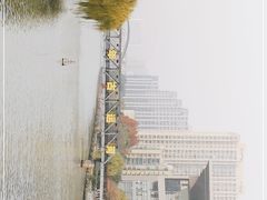 -运河游船(武林门码头)