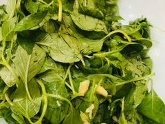 凉拌荆芥-金狮麟·新豫菜(金码大厦店)