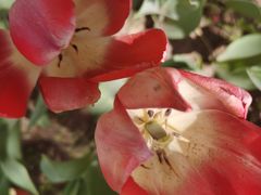 -长春公园(普阳街道)