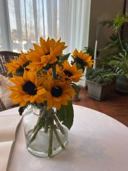 -毛毛虫儿童摄影馆