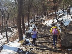 -阳台山自然风景区