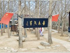 -香木香羊(小汤山店)