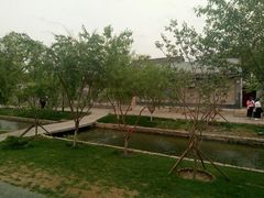 -春风习习