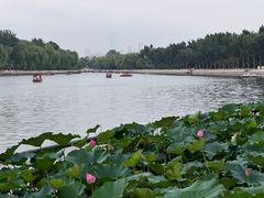 -什刹海